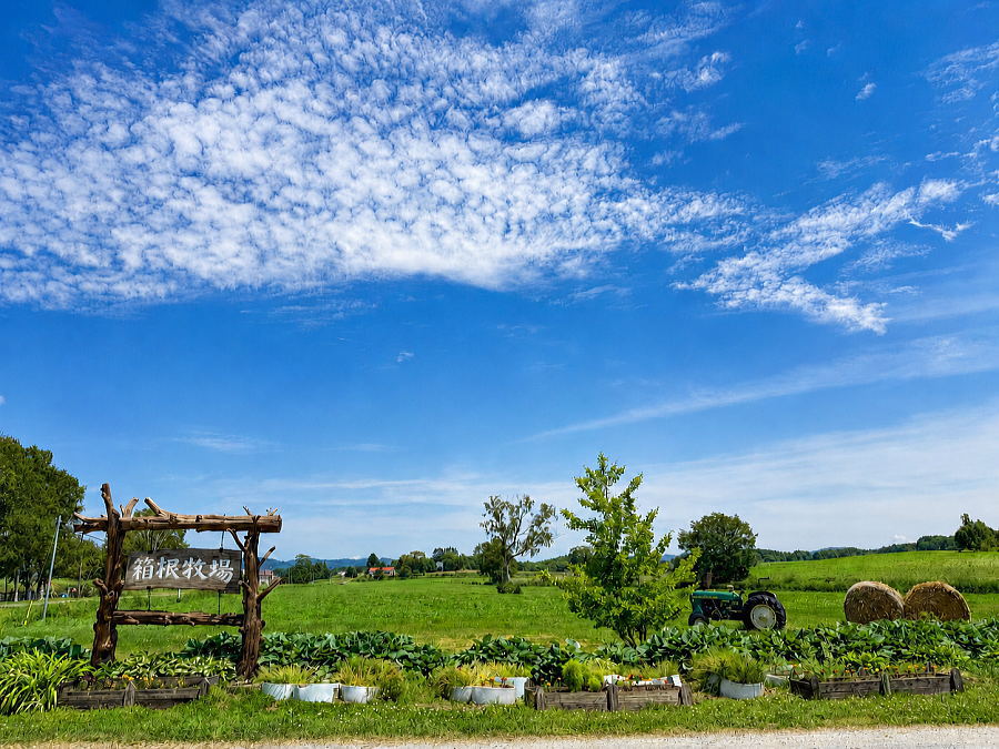 北海道箱根牧場の看板