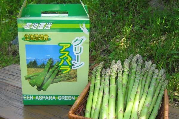 アスパラガス
