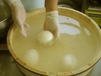乳製品を製造している様子