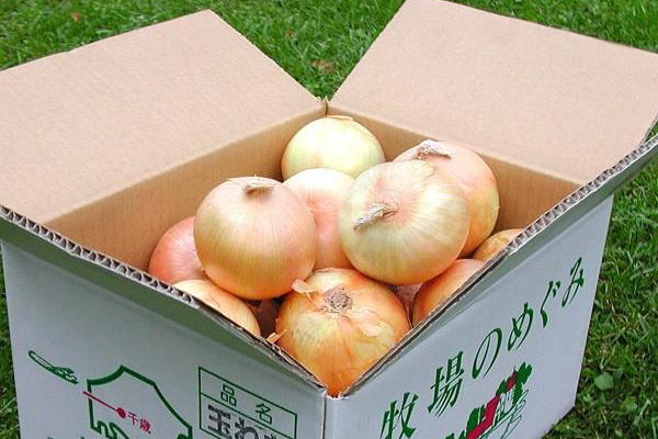 たまねぎ