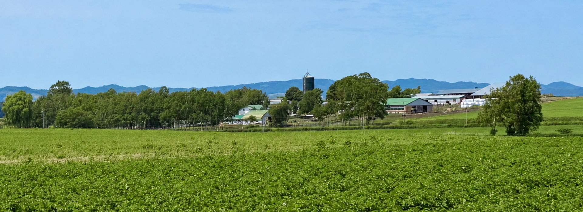 北海道箱根牧場